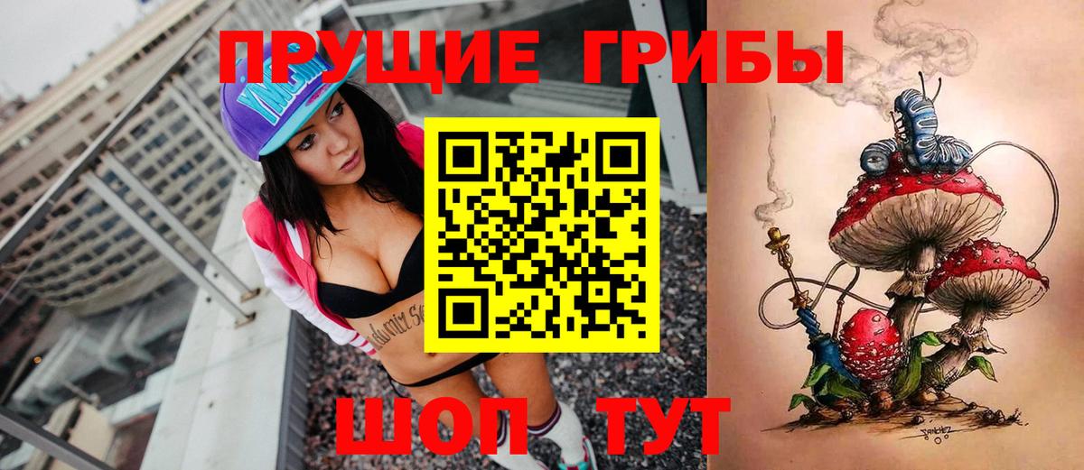 Советский  дарнет шоп  Вход с VPN  Галлюциногенные грибы GOLDEN TEACHER 